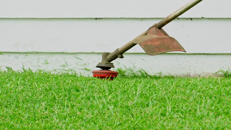 Lawn Pest Prevention in Springville, AL