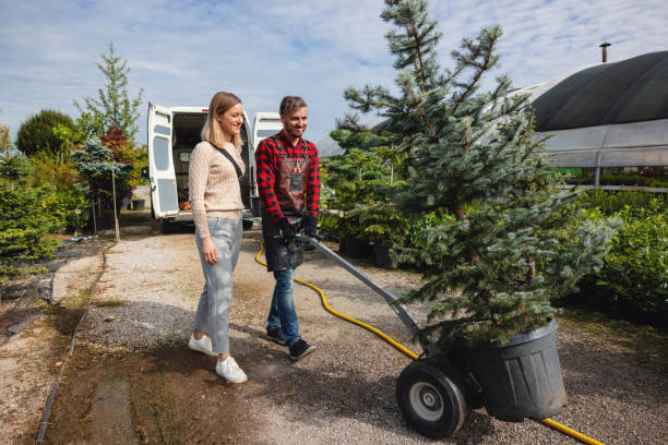 How Our Tree Care Process Works  in  Springville, AL